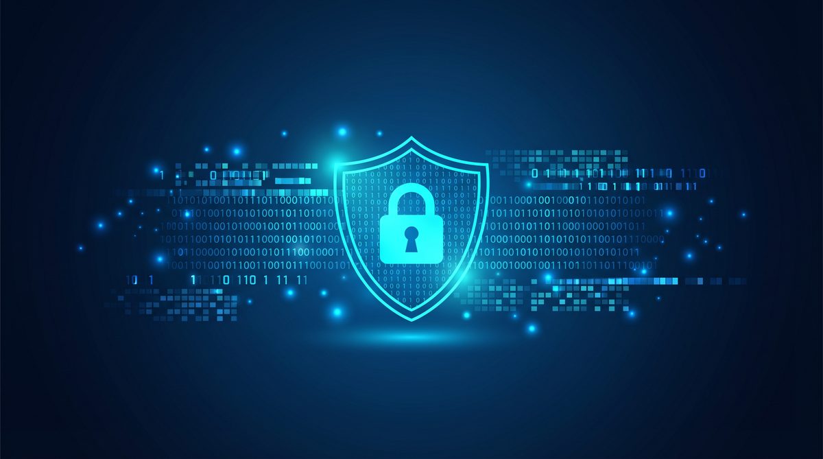 雪鸮加速器隐私安全保护